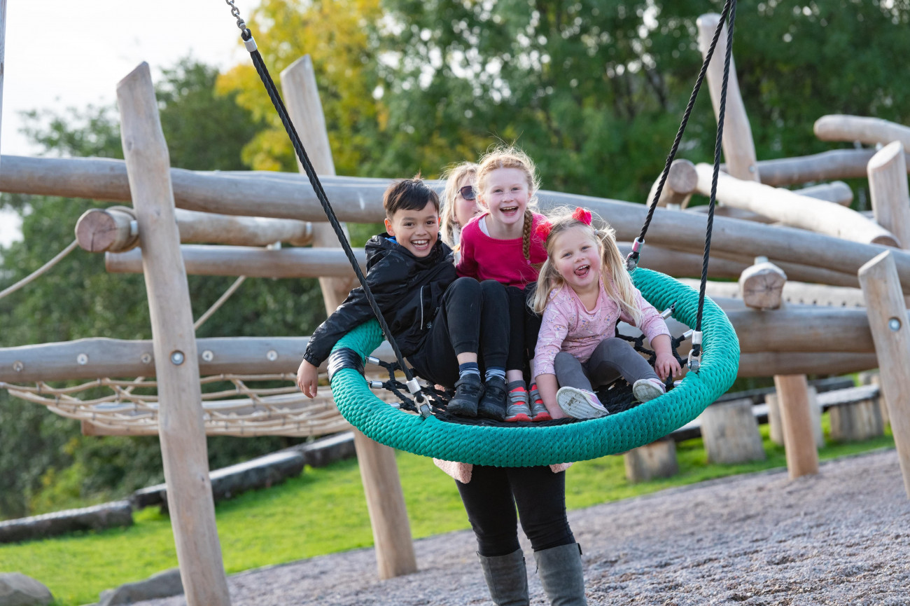 Brooke Park in Derry - Cradle Nest Swing